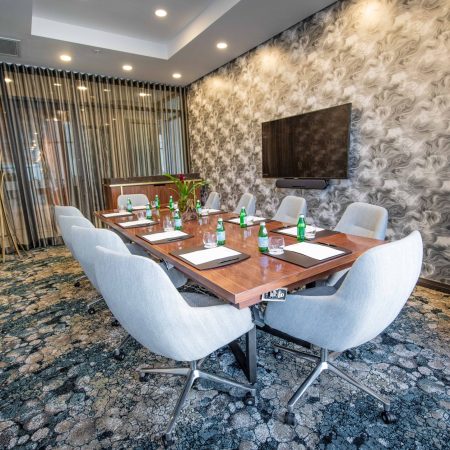 Leonardo_Conferencing_Aurora 2 (2)